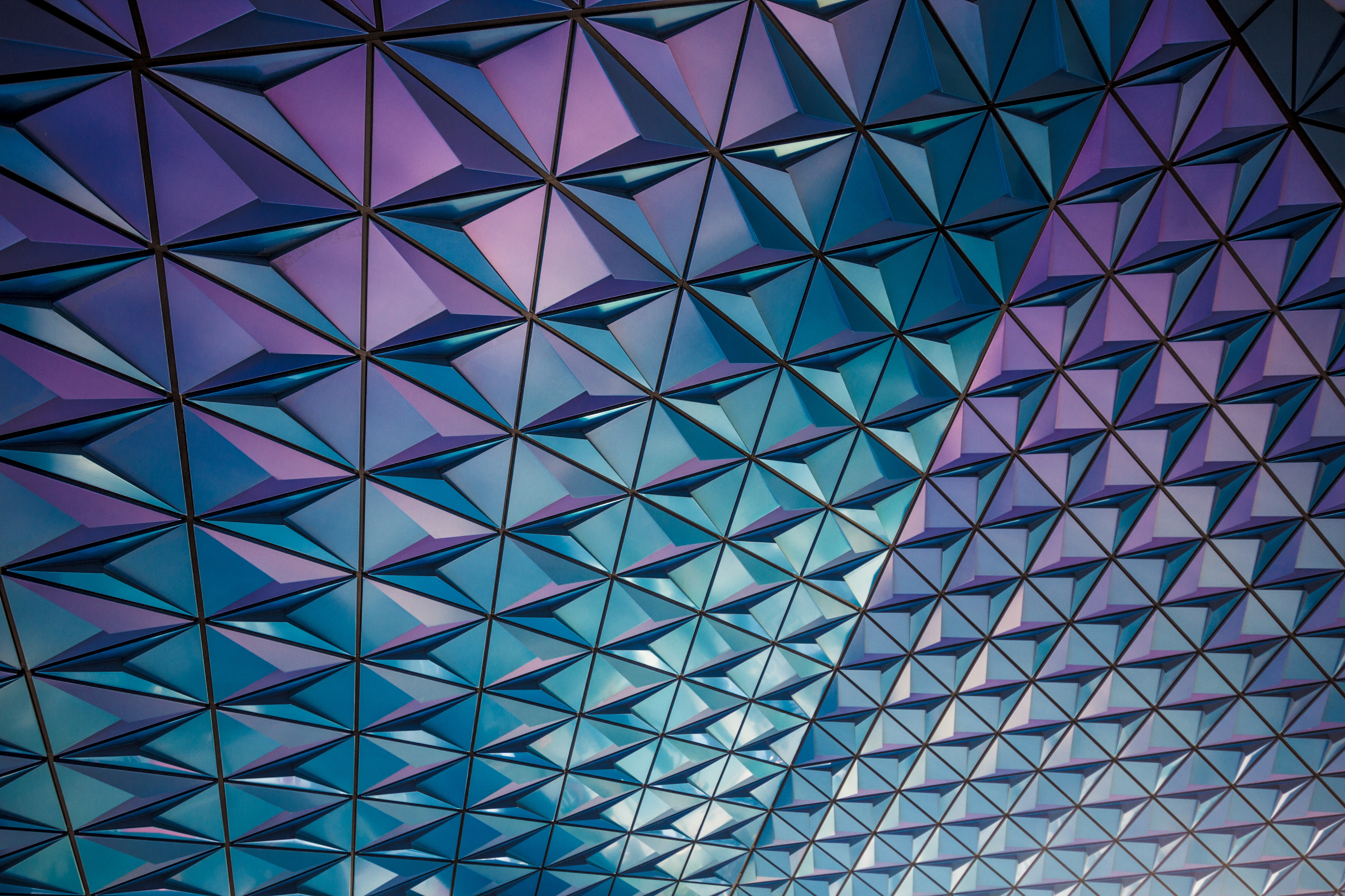 Photo by Ferdinand Stohr on Unsplash